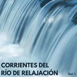 Corrientes Del Río De Relajación Vol. 1 - Agua calmante
