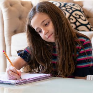 Lofi Melodies of Knowledge: Calming Beats for Immersive Study - Lofi For Study