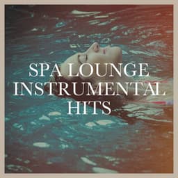 Spa Lounge Instrumental Hits - Ibiza Chill Out