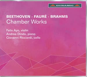 Chamber Works - Felix Ayo