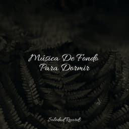 Música De Fondo Para Dormir - Sonidos De Lluvia y Tormentas