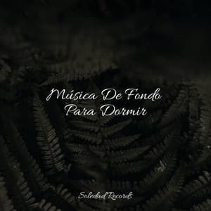 Música De Fondo Para Dormir - Sonidos De Lluvia y Tormentas