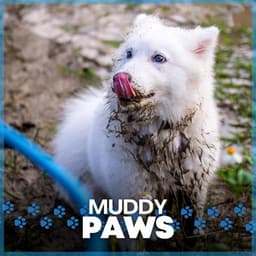 Muddy Paws - Dog Music