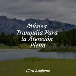 Música Tranquila Para la Atención Plena - Naturaleza Relajacion
