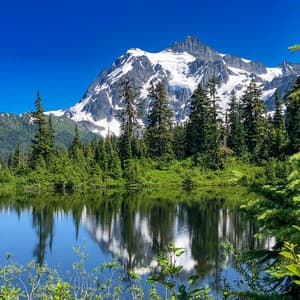 50 Natural Ambiences:Forest Frequencies - Baltic Nature Sounds