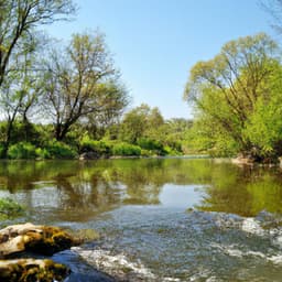 ! ! Amazonia da Purificação - Alan Baratieri