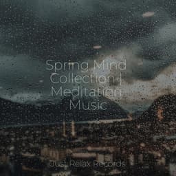 Spring Mind Collection | Meditation Music - Musica Reiki