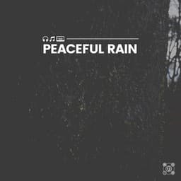 Peaceful Rain - Rain Sounds ACE