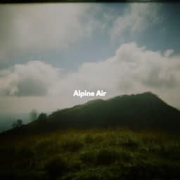 Alpine Air - Romantic Jazz Music Lovers Club