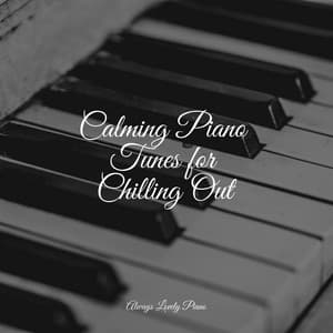 Total Quiet Listening and Chill Tracks - Calming Baby Sleep Music Club