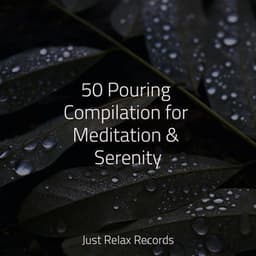 50 Pouring Compilation for Meditation & Serenity - Musica romantica instrumental