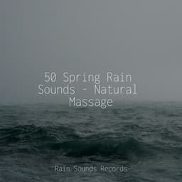 50 Spring Rain Sounds - Natural Massage - Lucid Dreaming Music