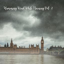 Humming Wind While Raining Vol. 2 - Natural Woodland Sounds