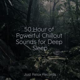 50 Hour of Powerful Chillout Sounds for Deep Sleep - Mantra para Dormir