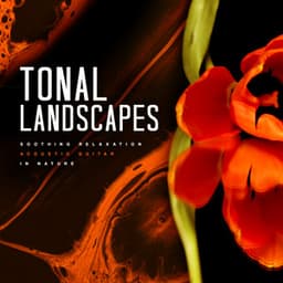 Tonal Landscapes - Soothing Relaxation Acoustic Guitar in Nature