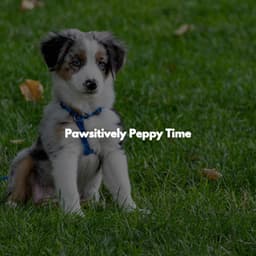 Pawsitively Peppy Time - Relaxing Coffee Shop