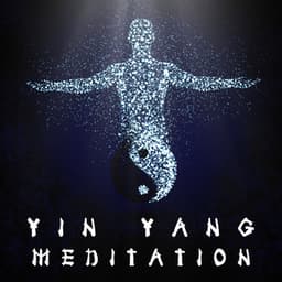 Yin Yang Introspection - Keith Path