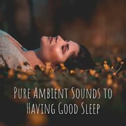 Pure Ambient Sounds to Having Good Sleep - Relax