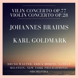 Johannes Brahms : Vilin Concerto Op.77 - Karl Goldmark : Violin Concerto Op.28 - Bruno Walter