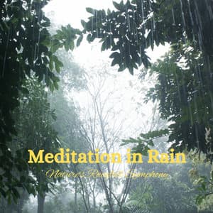 Meditation in Rain: Nature's Rainfall Symphony - Recording Nature