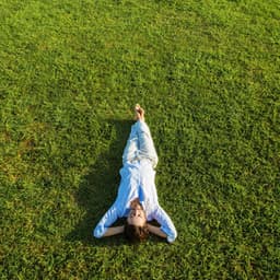 Peaceful Harmonies: Music for Relaxation - Reiki Chakra Consort