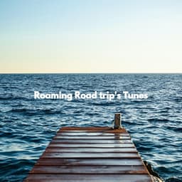 Roaming Road trip's Tunes - Cool Jazz Relaxation Radio