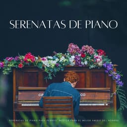 Serenatas De Piano Para Perros: Música Para El Mejor Amigo Del Hombre - Maestros de la música de relajación para piano