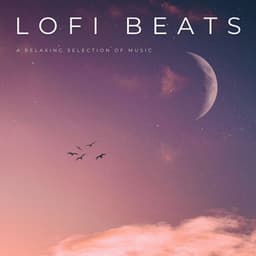 Lofi Beats: A Relaxing Selection Of Music - lofi stu