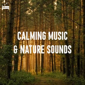 Calming Music and Nature Sounds - Stress Relief