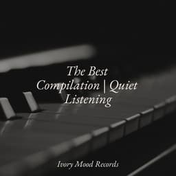 The Best Compilation | Quiet Listening - Ivory Mood