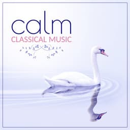 Calm Classical Music – Mozart Compositions for Relaxation, Stress Relief and Quieten - Wolfgang Amadeus Mozart