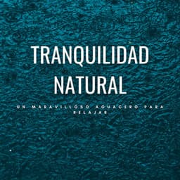 Tranquilidad Natural: Un Maravilloso Aguacero Para Relajar - Estado de ánimo de lluvia