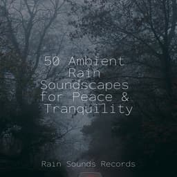 50 Ambient Rain Soundscapes for Peace & Tranquility - Music For Absolute Sleep
