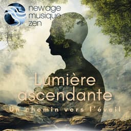 Lumière ascendante: Un chemin vers l’éveil - New Age Musique Zen