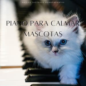 Piano Para Calmar Mascotas: Amigos Jazzeros Ronroneantes - Música Lounge para Restaurantes