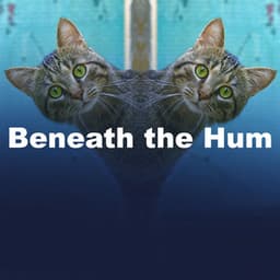 Beneath the Hum - Puppy Music Dreams