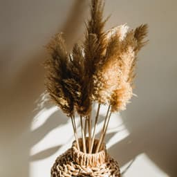 Balm for the Soul - Acoustic Chill Out