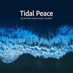 Tidal Peace - Relaxation Ocean Waves Academy