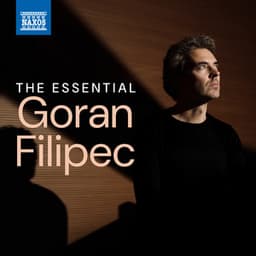 The Essential Goran Filipec - Goran Filipec
