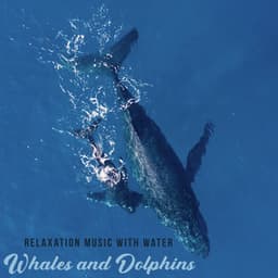 Relaxation Music with Water: Whales and Dolphin Sounds - Nature Music Sanctuary