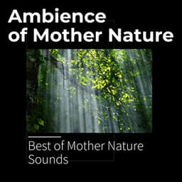 Ambience of Mother Nature - Best of Mother Nature Sounds