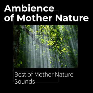 Ambience of Mother Nature - Best of Mother Nature Sounds
