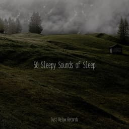 50 Sleepy Sounds of Sleep - Drowsy Cloud
