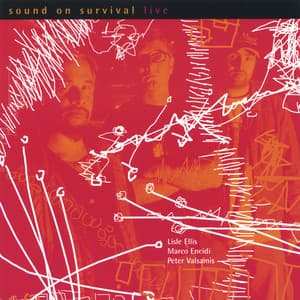 Sound On Survival - Lisle Ellis