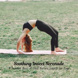 Soothing Insect Serenade: A Summer Buzz of Chill Nature Sounds for Yoga - Cricket Sounds