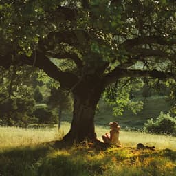 Soft Serenity: Gentle Music for Deep Relaxation - Relaxing Med Waves