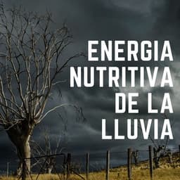 Energía Nutritiva De La Lluvia - Sonidos de la lluvia