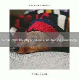Stress Relief Countryside Tunes For Stressed, Good Dogs - Pets Total Relax