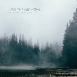 Into The Nightfall - Waves of Tranquility