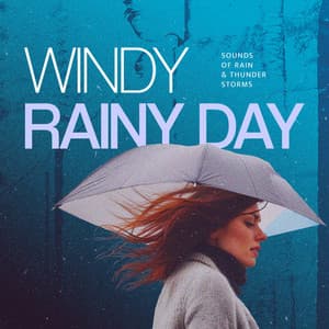 Windy Rainy Day - Sounds Of Rain & Thunder Storms